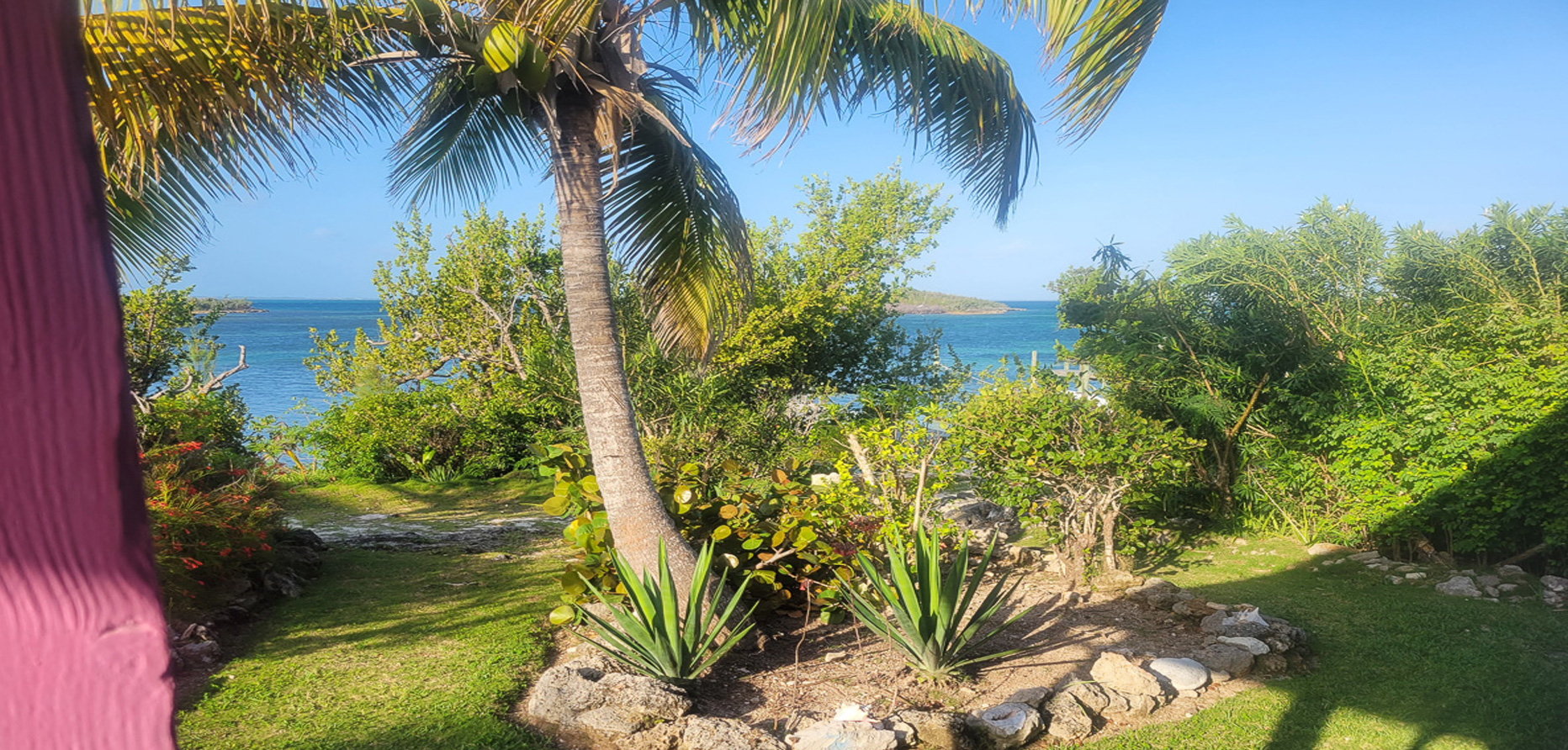 View from the deck
